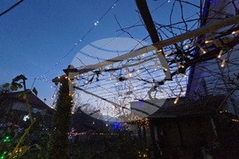 Разлог - коледна украса