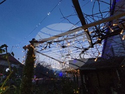 Разлог - коледна украса