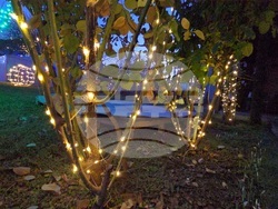 Разлог - коледна украса