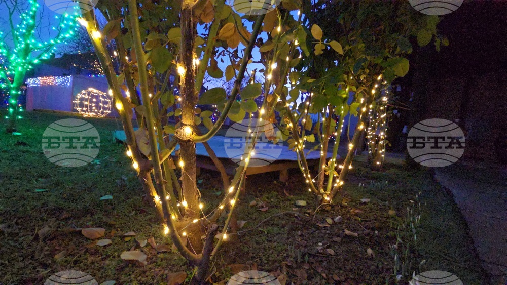 Разлог - коледна украса