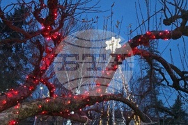 Разлог - коледна украса