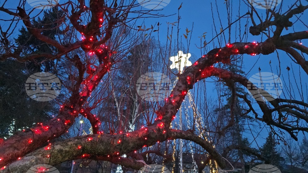 Разлог - коледна украса