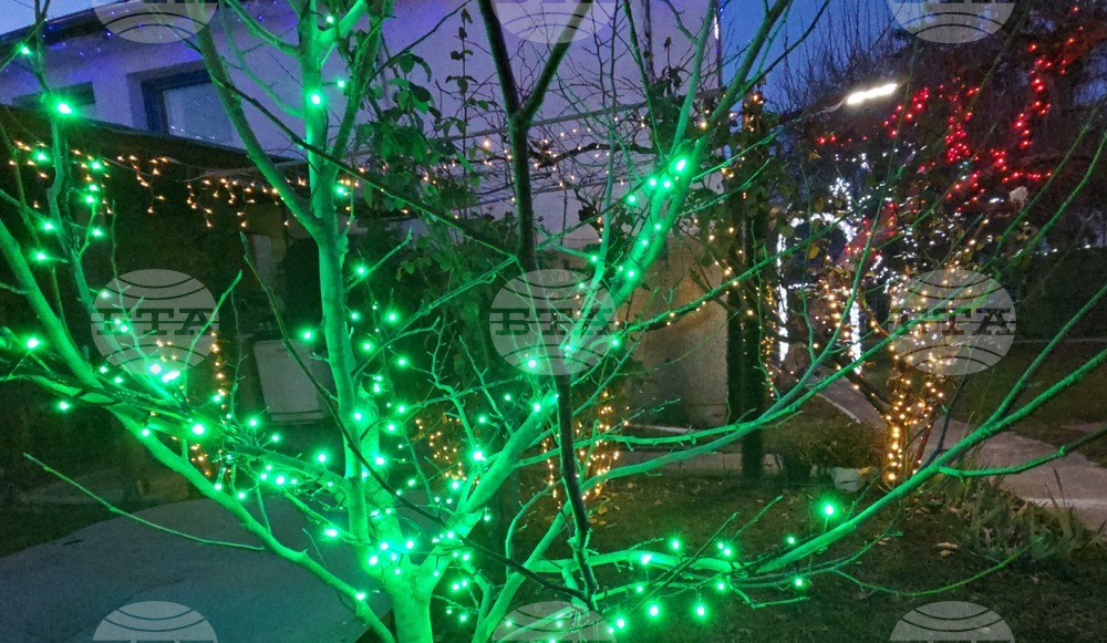 Разлог - коледна украса