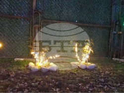 Разлог - коледна украса