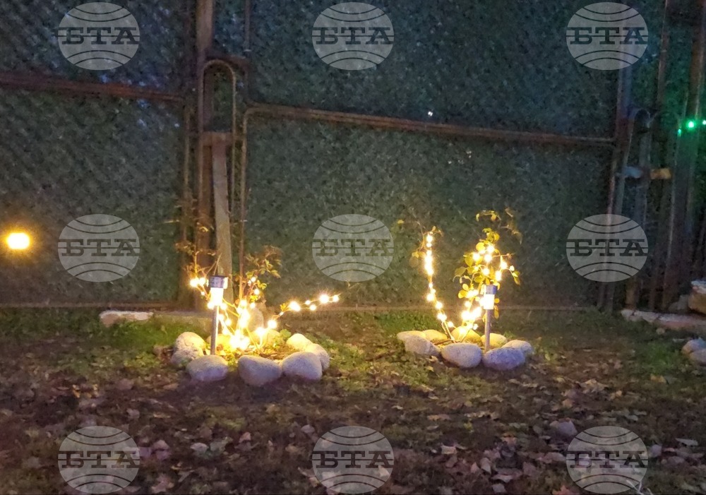 Разлог - коледна украса