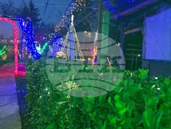 Разлог - коледна украса