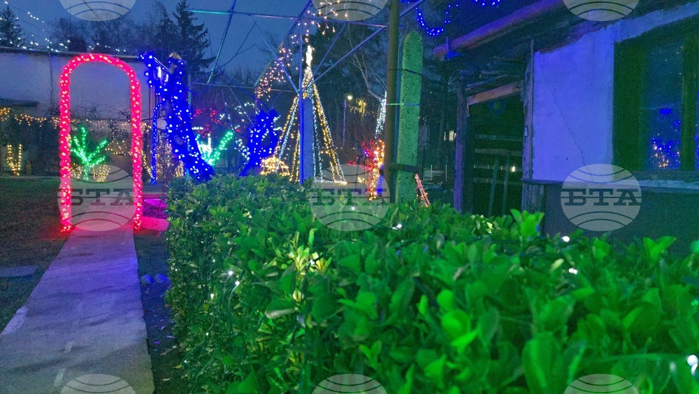 Разлог - коледна украса