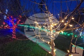 Разлог - коледна украса