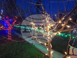 Разлог - коледна украса