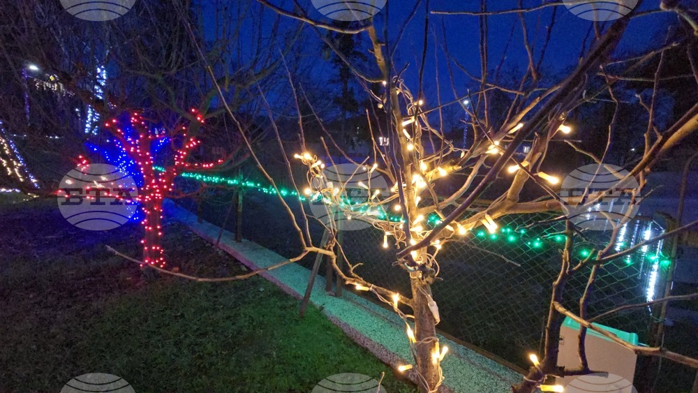 Разлог - коледна украса