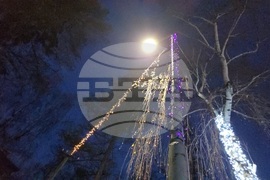 Разлог - коледна украса