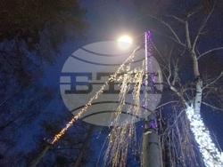 Разлог - коледна украса