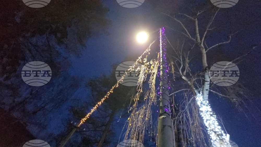 Разлог - коледна украса