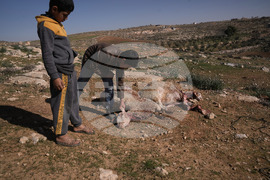 APTOPIX Israel Palestinians