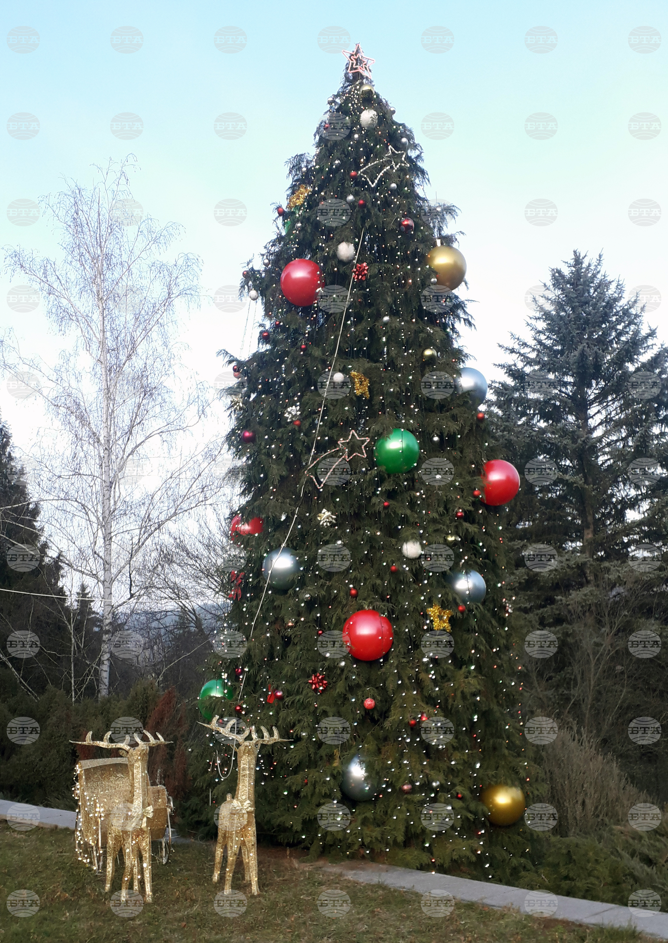 Ковачевци - тържествено запалване на коледната елха
