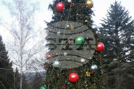 Ковачевци - тържествено запалване на коледната елха