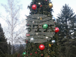 Ковачевци - тържествено запалване на коледната елха