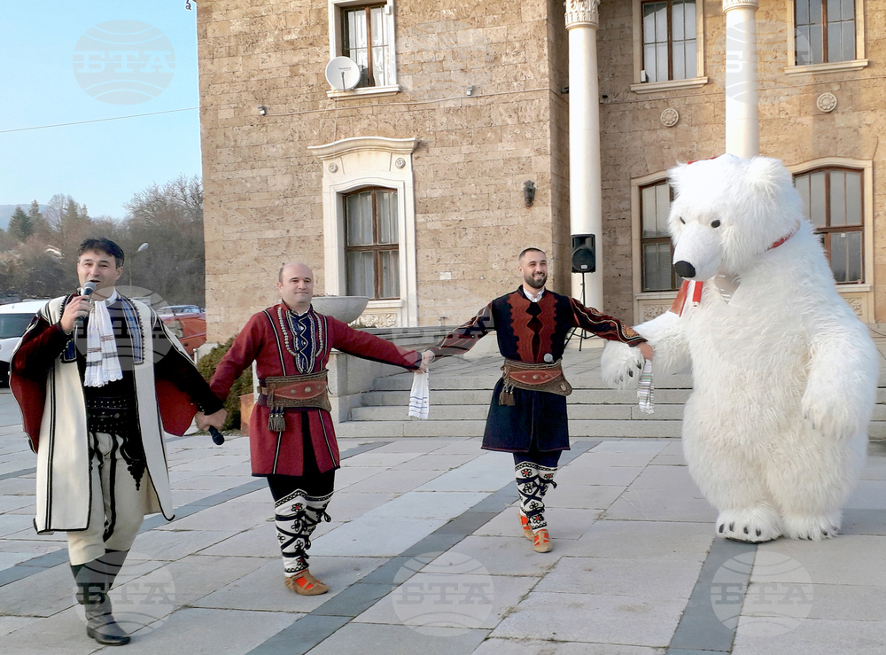 Ковачевци - тържествено запалване на коледната елха