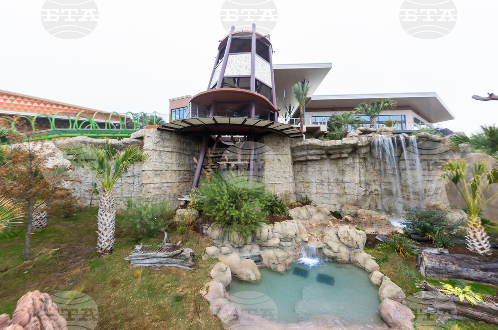 Grand Opening of Congo Falls at San Antonio Zoo