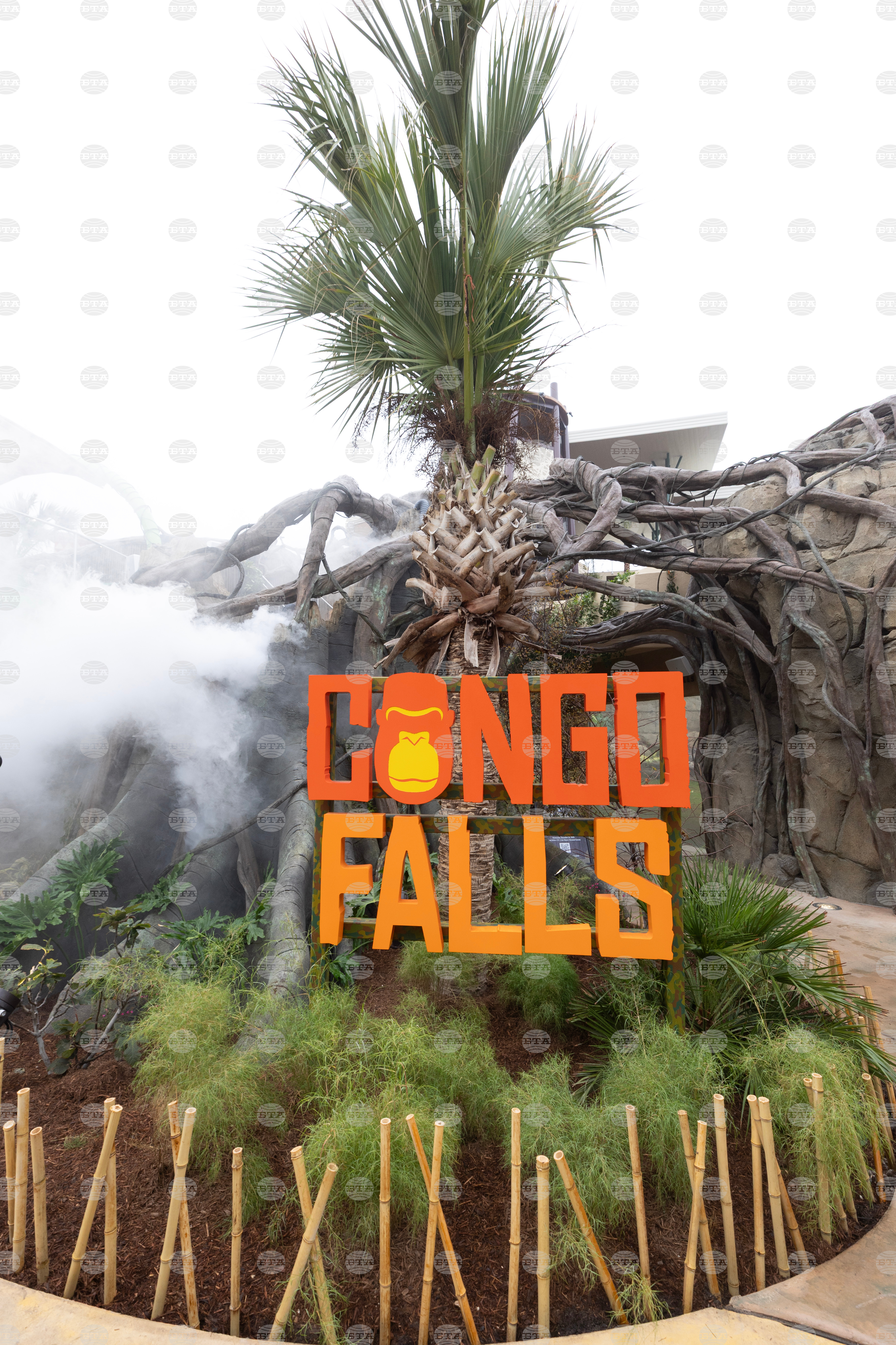 Grand Opening of Congo Falls at San Antonio Zoo