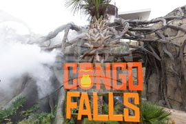 Grand Opening of Congo Falls at San Antonio Zoo