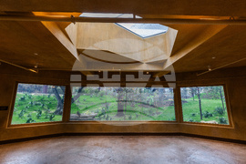 Grand Opening of Congo Falls at San Antonio Zoo