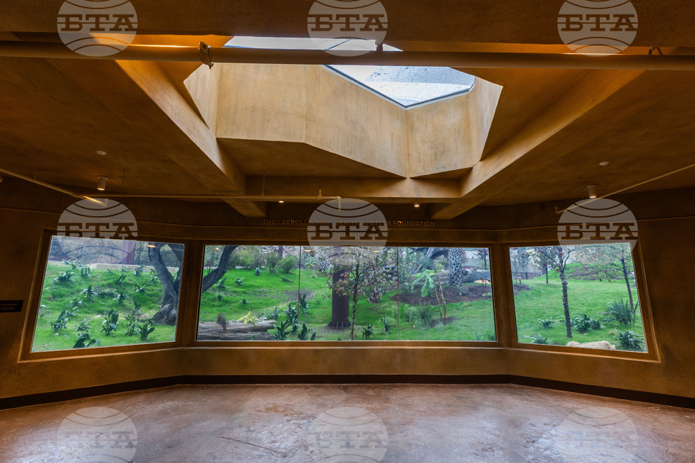 Grand Opening of Congo Falls at San Antonio Zoo