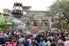 Grand Opening of Congo Falls at San Antonio Zoo