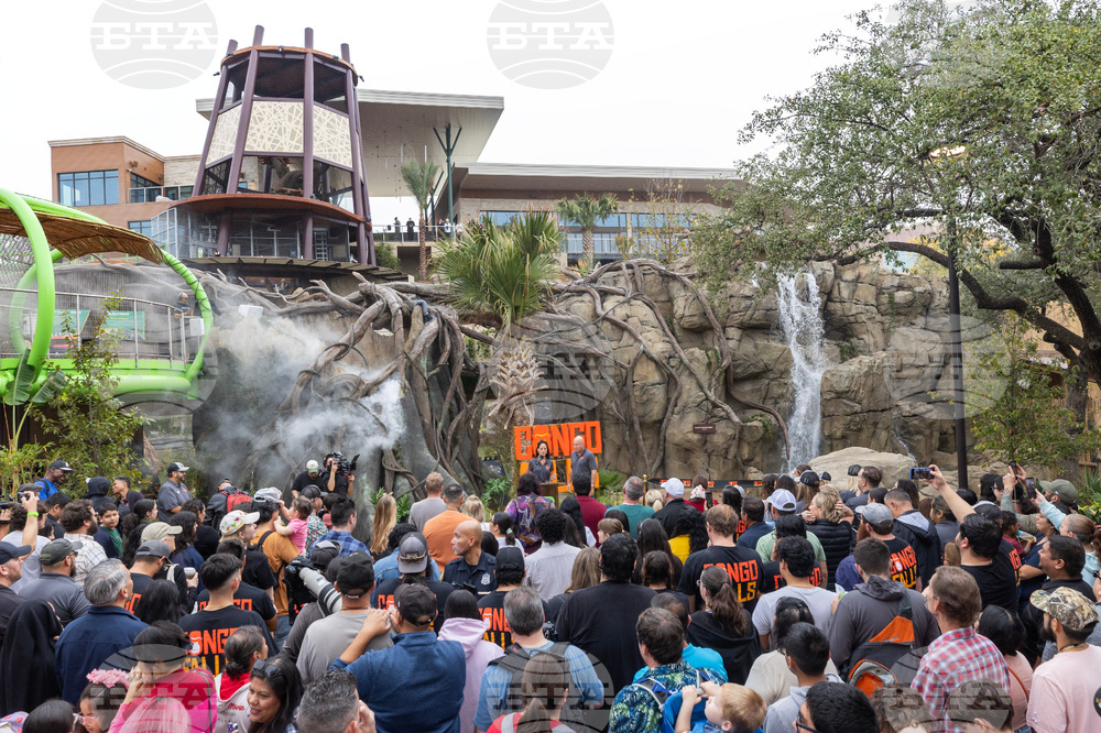 Grand Opening of Congo Falls at San Antonio Zoo