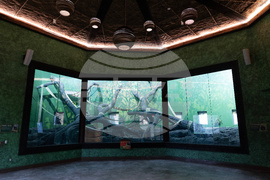 Grand Opening of Congo Falls at San Antonio Zoo