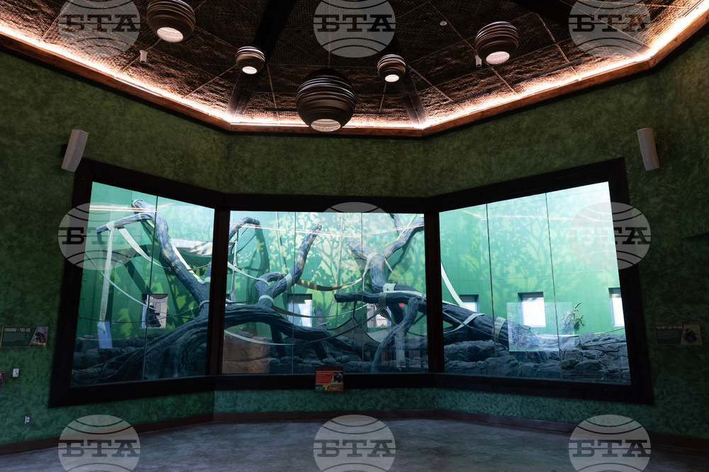 Grand Opening of Congo Falls at San Antonio Zoo