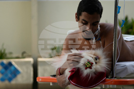 Brazil Pets Christmas