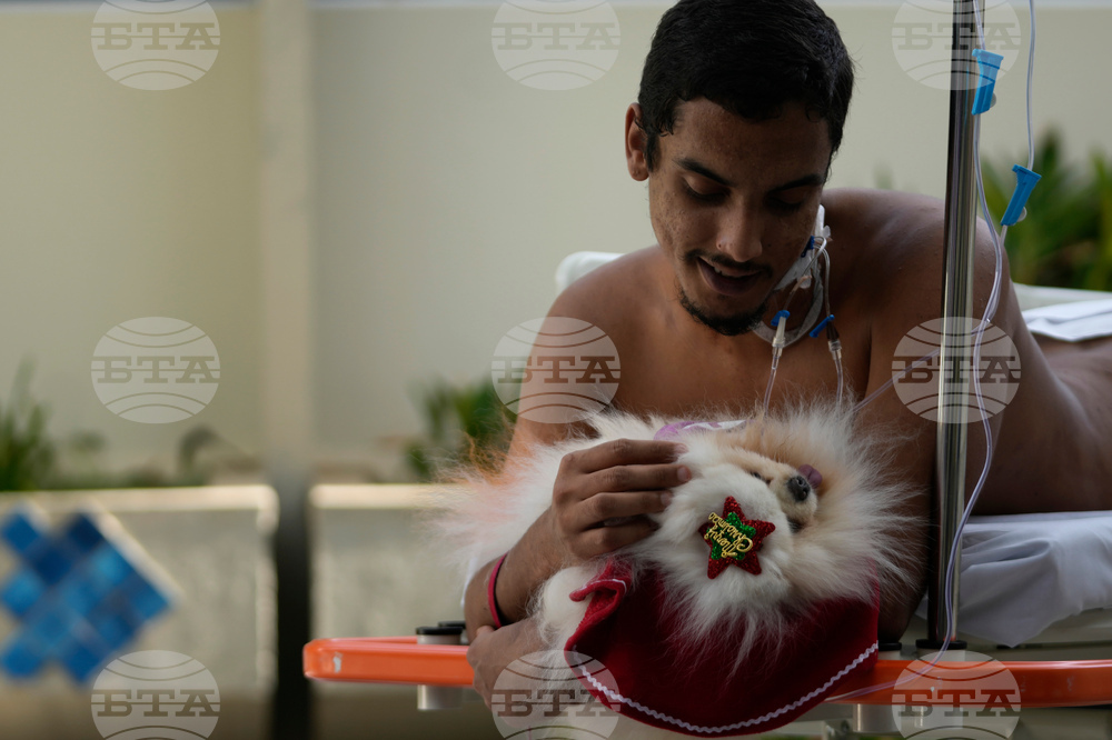 Brazil Pets Christmas