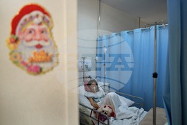 Brazil Pets Christmas