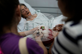 Brazil Pets Christmas