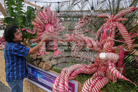 Night of the Radishes Festival