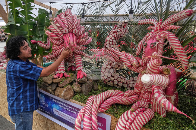 Night of the Radishes Festival