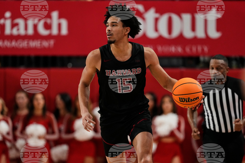 Harvard St Johns Basketball