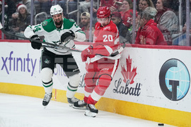 Stars Red Wings Hockey