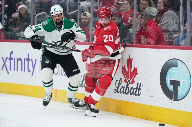 Stars Red Wings Hockey