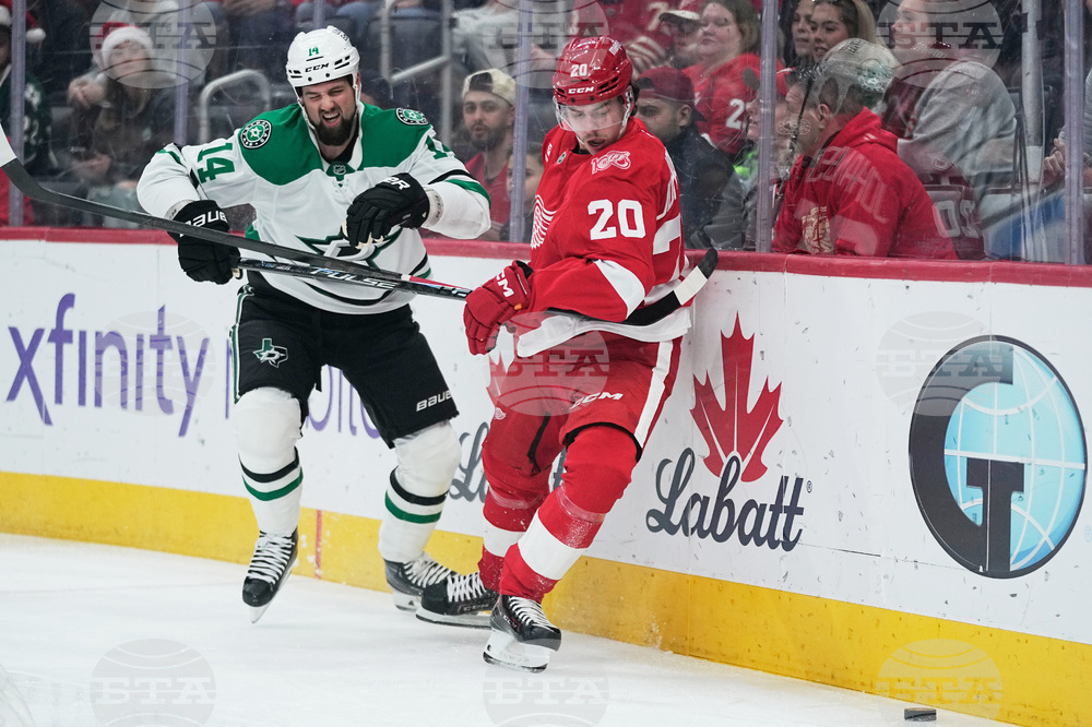 Stars Red Wings Hockey