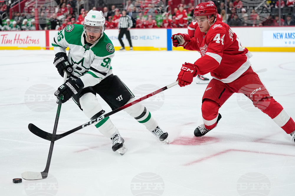 Stars Red Wings Hockey