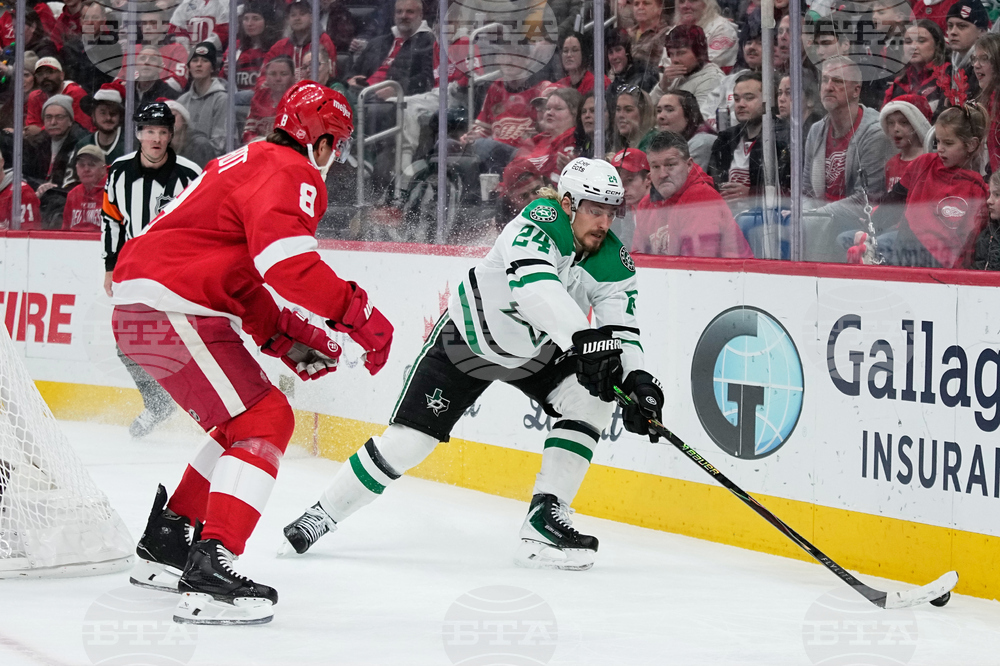 Stars Red Wings Hockey