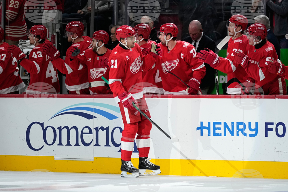 Stars Red Wings Hockey