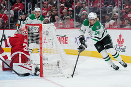 Stars Red Wings Hockey