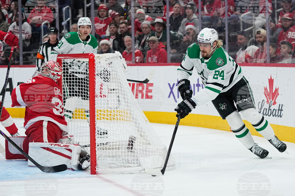 Stars Red Wings Hockey