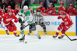 Stars Red Wings Hockey
