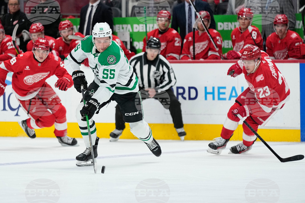 Stars Red Wings Hockey