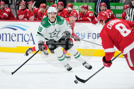 Stars Red Wings Hockey