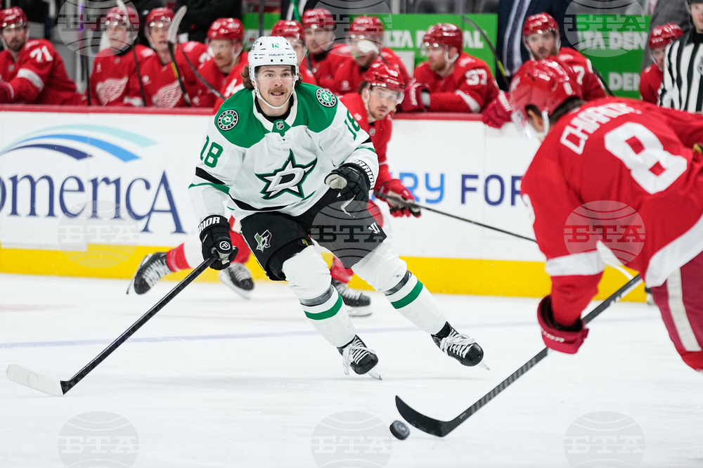 Stars Red Wings Hockey